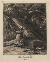 KG 01075
          <br/>
          Entwurf einiger Thiere. Dritter Theil. (18 bladen)
          <br/>
          <em>Ridinger, Johann Elias (1698-1767)</em>